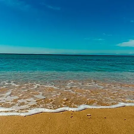 Mavridis 3* Flogita