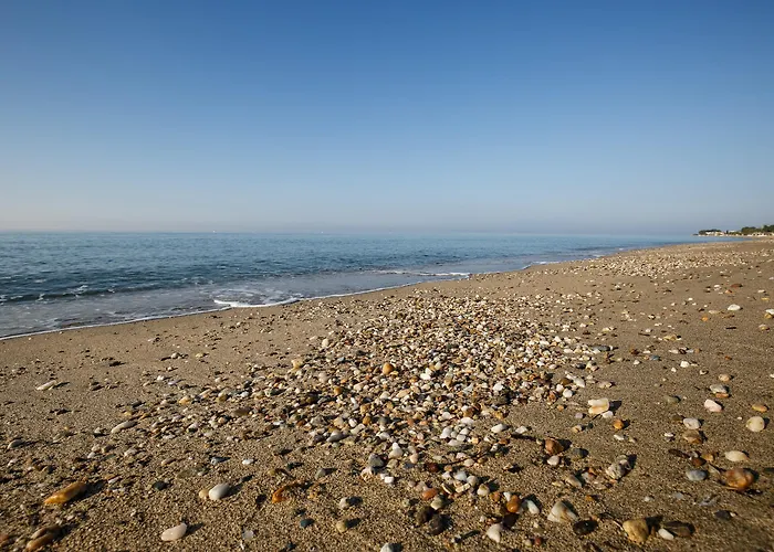 Mavridis 3*