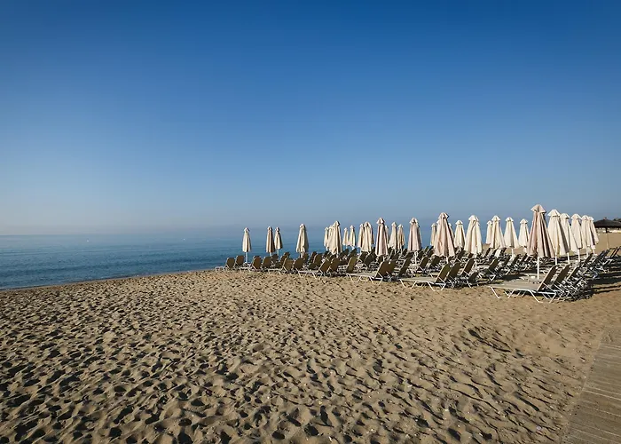 Mavridis 3* Flogita